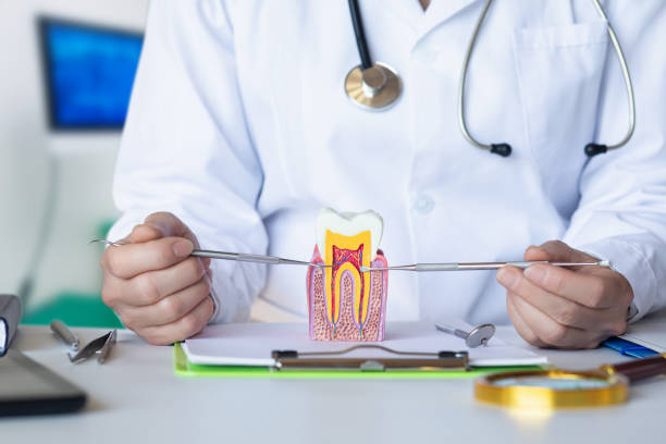 Best Emergency Dental Care for Trauma or Injury in Zion, IL